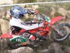 maurizio_gerini